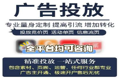 SEM代运营经典案例解析与启示